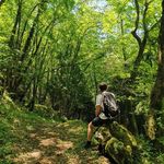 Jonathan Van Overstraeten - @jonathanvanoverstraeten - Instagram