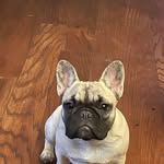 Jonathan VanOver - @vanoverjonathan - Instagram