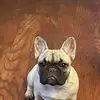 Jonathan VanOver - @jonathan.vanover8 - TikTok