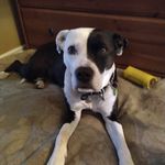 Jonathan Lacasse-Verret - @jonathanlacasseverret - Instagram