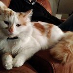 Jonathan Vickers - @jonathan.vickers.100 - Instagram