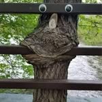 Jonathan Vickers - @jonovickers1 - Instagram