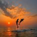 Jonathan Viens - Facebook