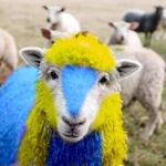 Jonathan De Wachter - @intjelic - Instagram
