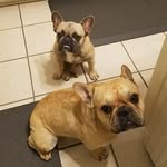 Jonathan Walling - @team.mu.captain - Instagram
