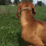 Jonathan Walter - @waltervizsla07 - Instagram