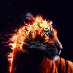 Jonathan Walther - @j.t.walther - Instagram