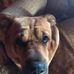 Jon Warfield - Facebook