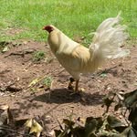 Jonathan Warren - @jonathanwarren4219 - Instagram