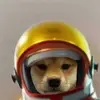 Jonathan Webb - @jonathan.webb694 - TikTok