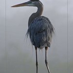 Jonathan Weeks - @jonathanweeksz - Instagram