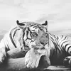 Jonathan Weiler  - @jona.o4 - TikTok