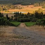 Jonathan Wickham - @wickham2002 - Instagram
