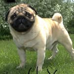 Jonathan Wildman - @lil_jon74w - Instagram