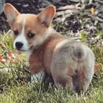 jonathan wildman - @wildman_jonathan - Instagram