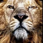 Jonathan Williamson - @thejonathanyoulike - Instagram