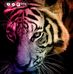 Jonathan Winston - Facebook