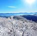 Jonathan Winston  - Facebook