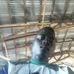 Fred Boy Wheham Jonathan - Facebook
