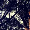 Johnathan Wofford - @whyhellothere1433 - TikTok