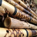 Jonathan Wolf - @dragon_flutes_rising - Instagram