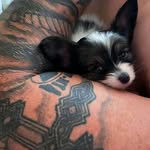 jonathan woodrow - @jonathanwoodrow3 - Instagram