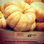 Jonathan Woodside - @jonathanwoodside - Instagram
