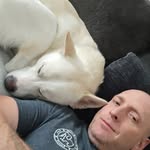 Jonathan Workman - @akita.kahu - Instagram