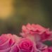 Jonathan Worthen - Facebook