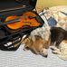 Jonathan Wu - Facebook