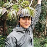Jonathan Wu - @imaginarychinesefood - Instagram