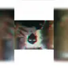 Jonathan Wu - @2151208504 - TikTok