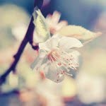 @jonathan_xu - Instagram