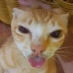Jonathan R Yamson - @jonathanyamson3 - Instagram