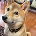 Jonathan Yam - Facebook