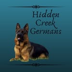 Jonathan Yoder - @hiddencreekgermans - Instagram