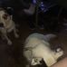 Johnathan Youngs - Facebook