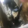Johnathan Youngs - @johnathan.youngs - TikTok