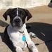 Jonathan Yvon - Facebook