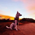 Jonathon Bailey - @jonathon.bailey.5 - Instagram