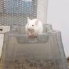 Jonathan Bartlett - @jonathan__bartlett - TikTok