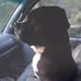 Jonathon Bowers - Facebook