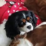 Linda Krayer - @jonathon_daugherty_ - Instagram