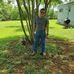 Jonathan Dillard - Facebook