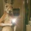 Jonathan Duke - @jonathan.duke26 - TikTok