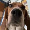 Jonathan Duncan - @jonathan.duncan - TikTok