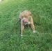 Jonathon Elliott - Facebook