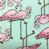 jonathan.franklin66 - @jonathan.franklin66 - TikTok