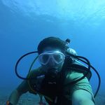 Jonathon Hall - @emotional_support_diver - Instagram