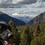 Jonathan Lawson - @jonathan_lawson_ - Instagram